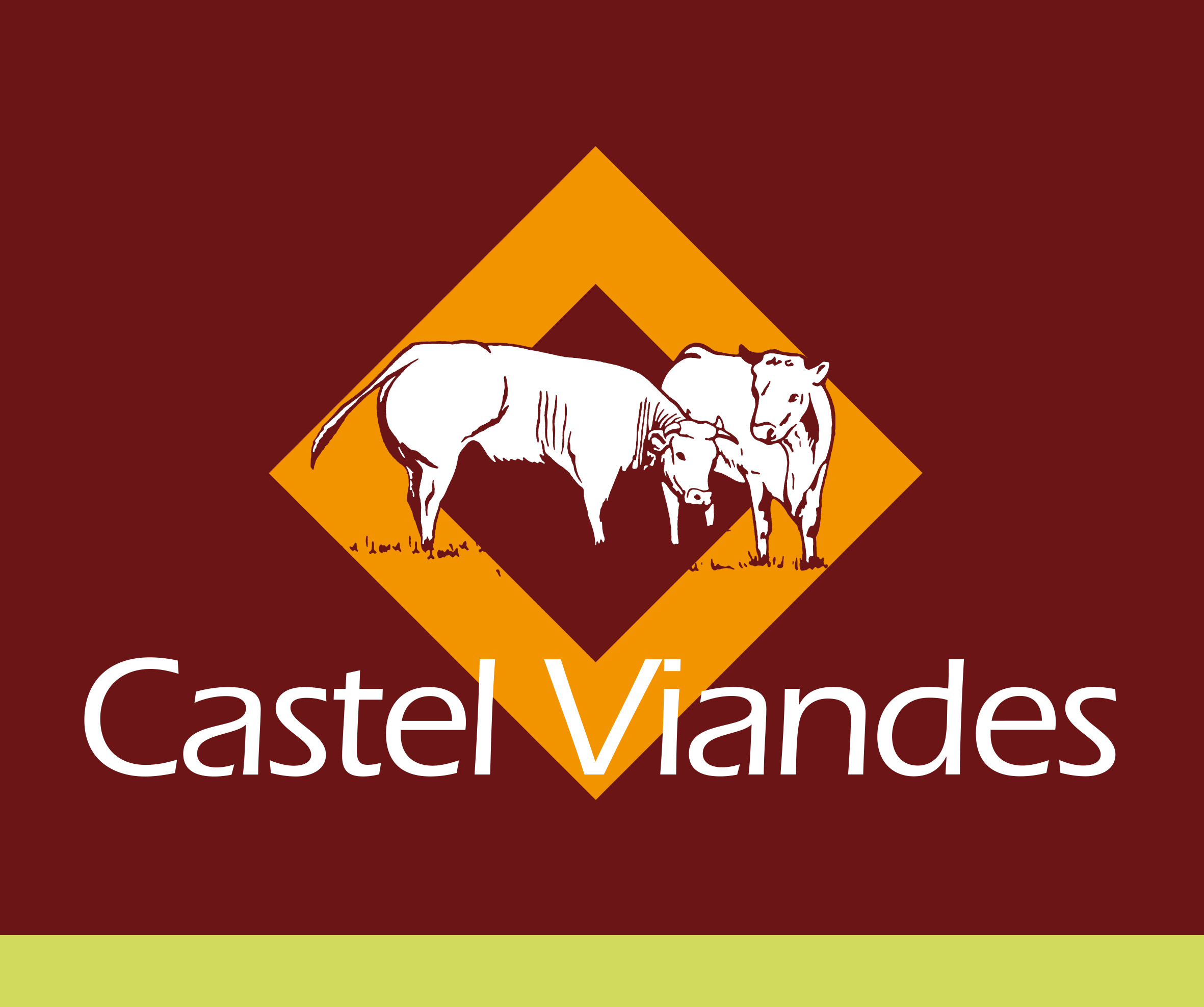 Logo Castel Viande