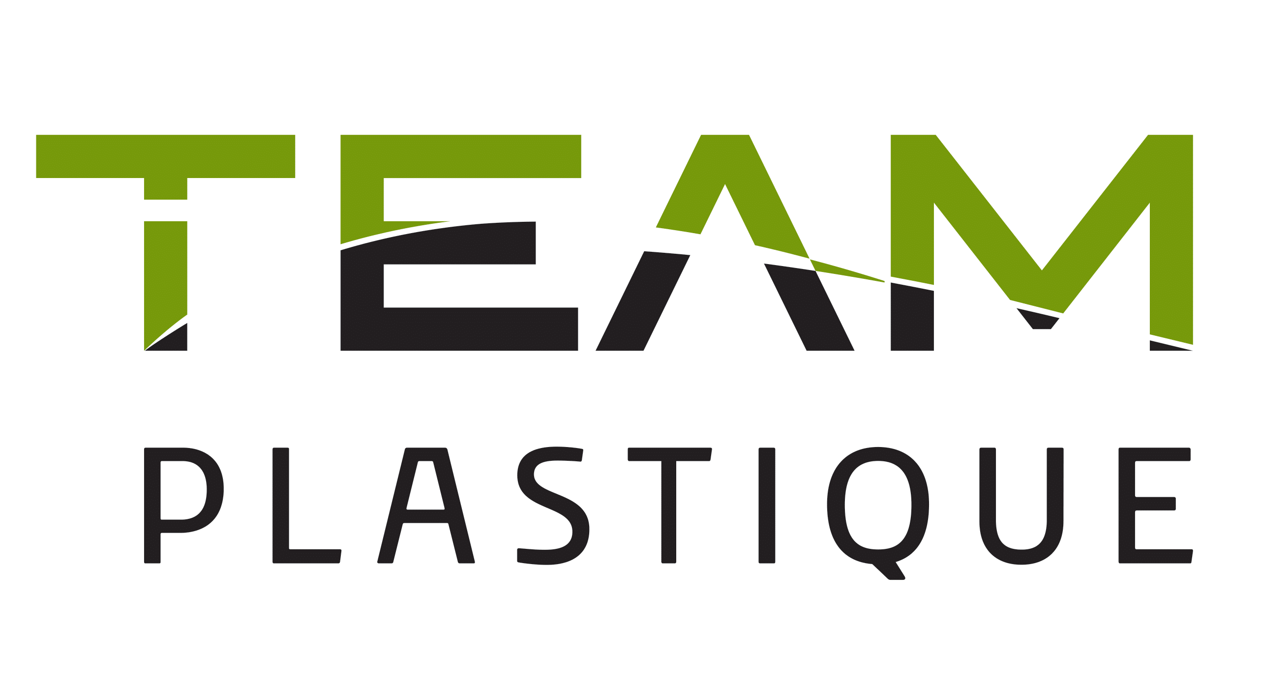 Logo Team plastique